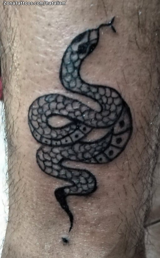 Tattoo photo Snakes, Animals