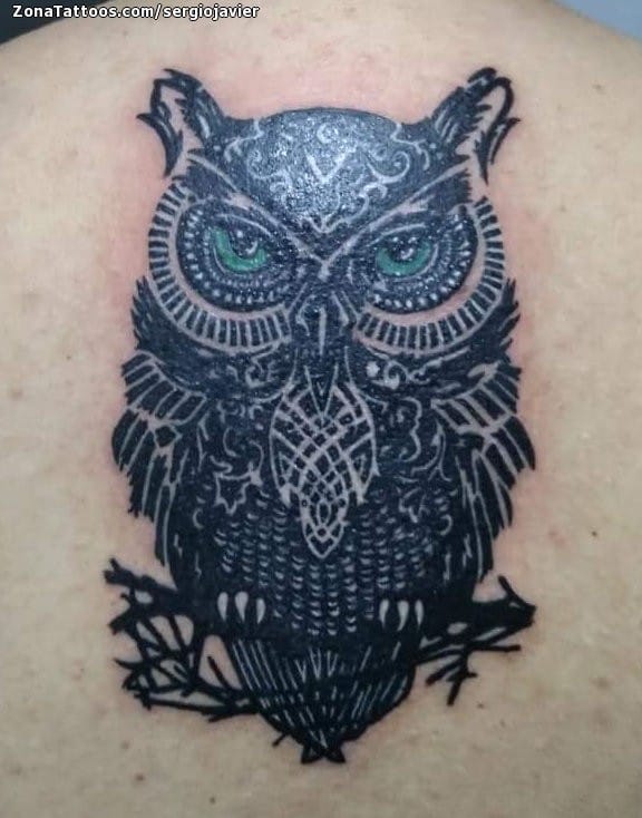 Foto de tatuaje Búhos, Aves, Espalda