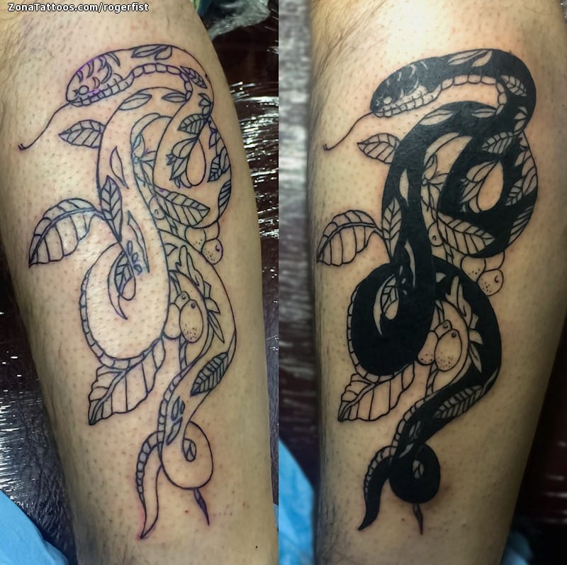 Tattoo photo Snakes, Animals