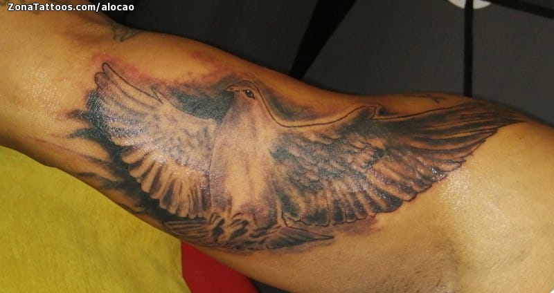 Foto de tatuaje Palomas, Aves, Animales