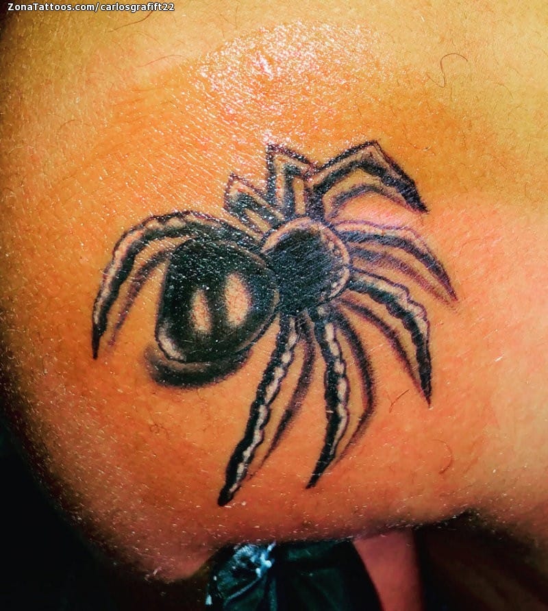 Tattoo photo Spiders, Shoulder