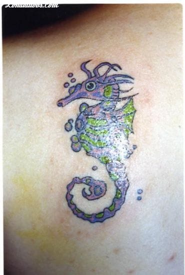 Foto de tatuaje Caballitos de mar, Animales