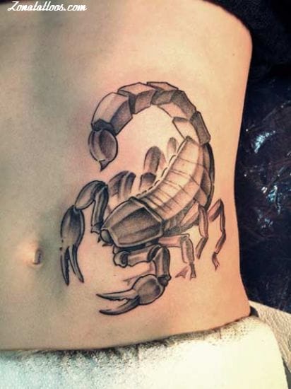 Foto de tatuaje Insectos, Escorpiones