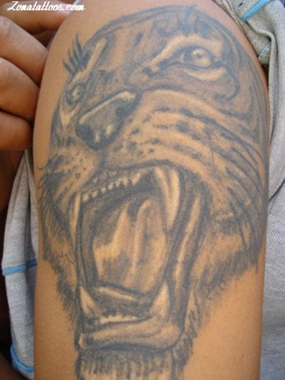 Tattoo photo Tigers, Animals