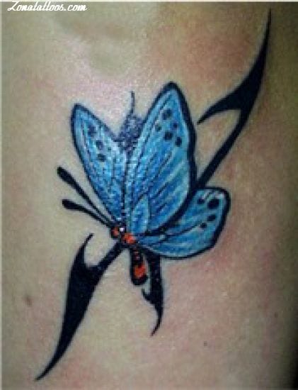 Tattoo photo Butterflies, Insects