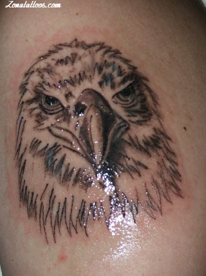 Foto de tatuaje Águilas, Aves, Animales