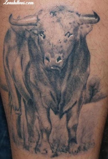Tattoo photo Bulls, Animals