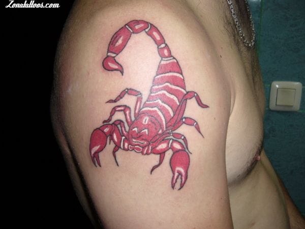 Tattoo photo Scorpions, Insects