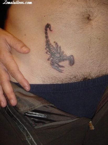 Tattoo photo Scorpions, Insects