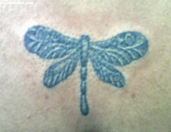 Tattoo photo Dragonflies, Insects