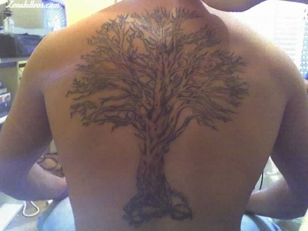 Tattoo of Trees, Back