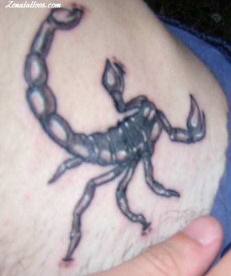 Tattoo photo Scorpions, Insects