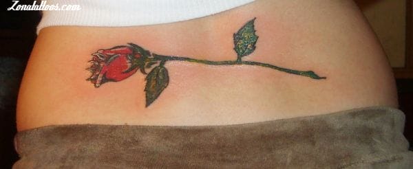 Tattoo photo Roses