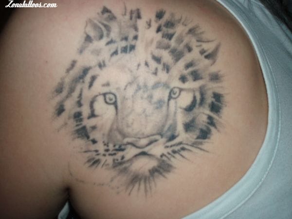 Tattoo photo Tigers