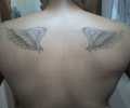 Tatuaje de avivas