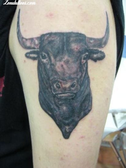 Foto de tatuaje Toros, Animales