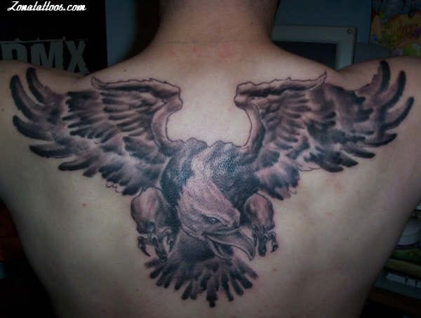 Foto de tatuaje Águilas, Aves, Animales