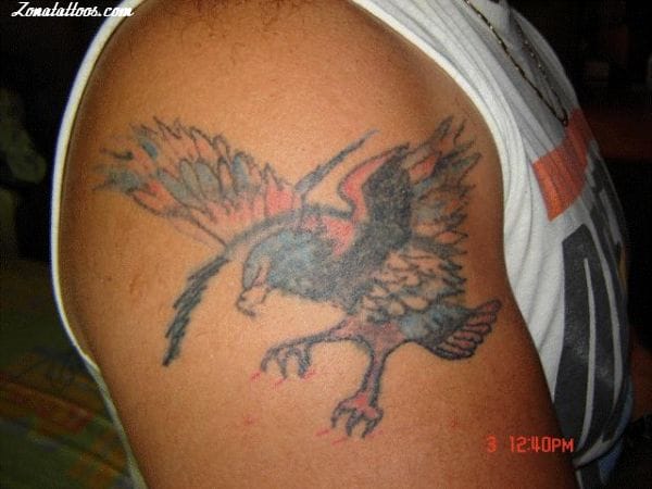 Foto de tatuaje Águilas, Aves, Animales