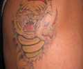 Tatuaje de TIGER