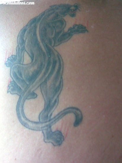 Tattoo photo Panthers, Animals