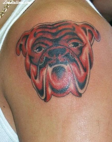 Foto de tatuaje Perros, Animales, Bulldogs