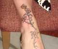 Tatuaje de laninia