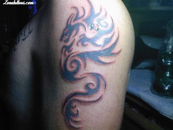 Foto de tatuaje Dragones