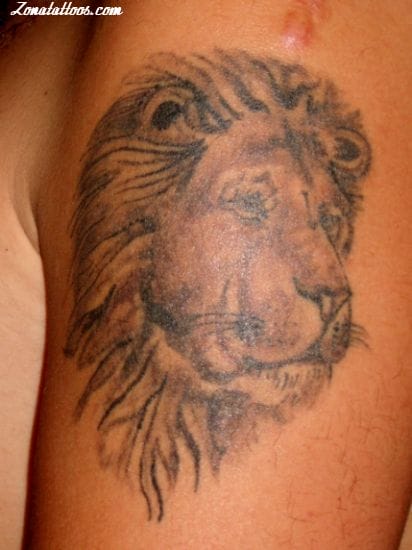 Tattoo photo Animals, Lions