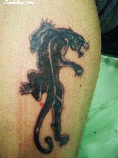 Foto de tatuaje Panteras, Animales