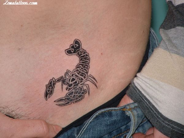 Tattoo photo Scorpions, Insects