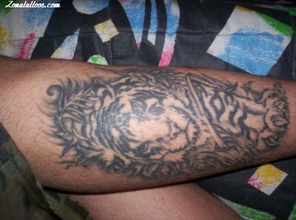 Foto de tatuaje Tigres, Animales