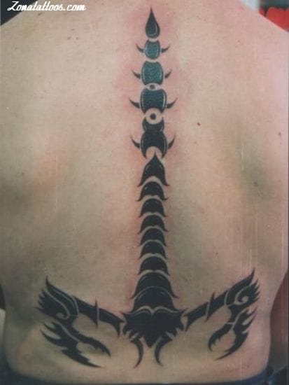 Tattoo photo Scorpions, Insects, Spine