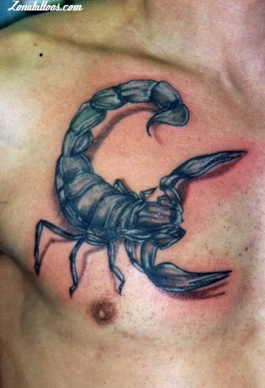 Tattoo photo Scorpions, Insects, Chest