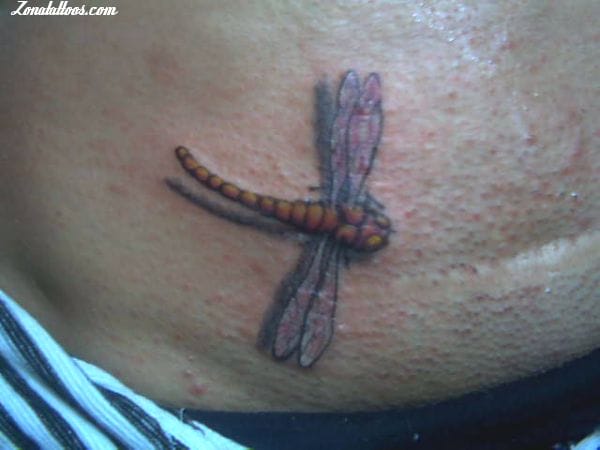 Tattoo photo Dragonflies, Insects