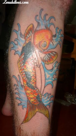 Tattoo photo Animals, Fish, Koi