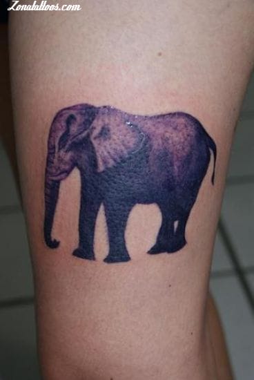 Foto de tatuaje Elefantes, Animales