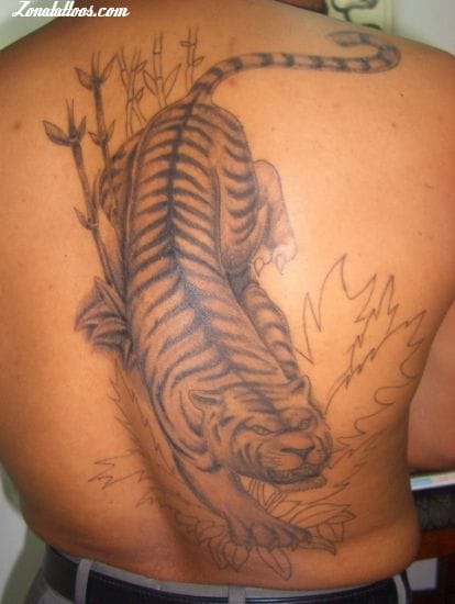 Foto de tatuaje Tigres, Animales