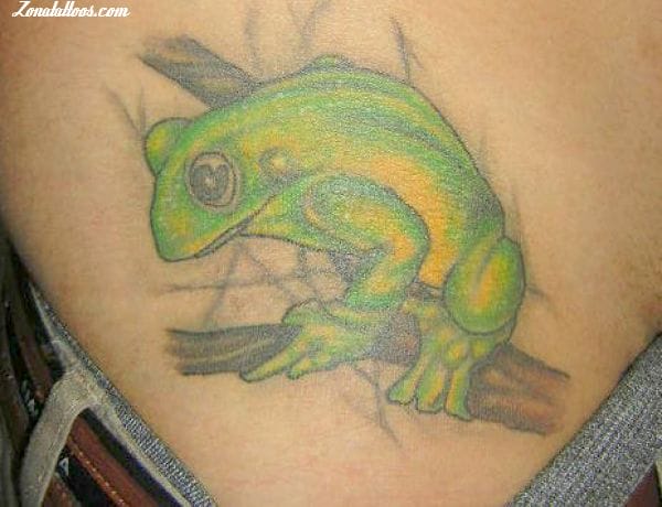 Foto de tatuaje Ranas, Animales