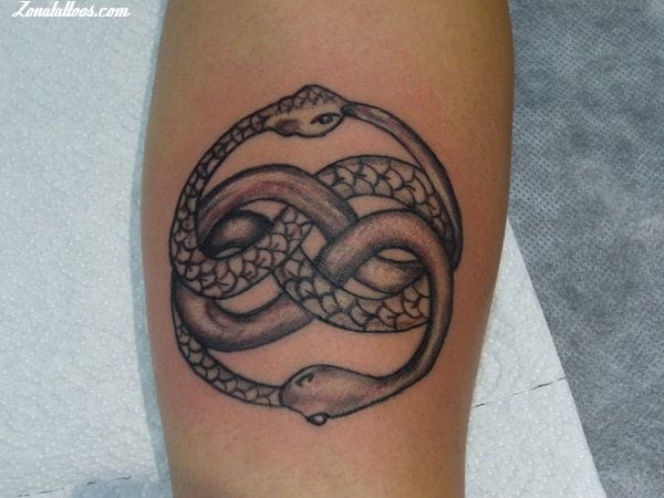 Foto de tatuaje La Historia Interminable, Literatura, Serpientes