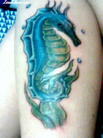 Tattoo photo Seahorses, Animals