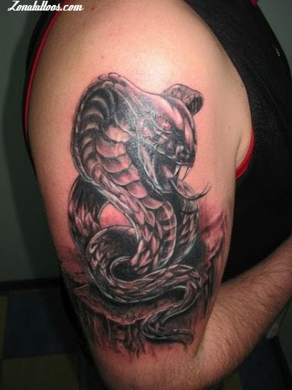 Foto de tatuaje Cobras, Serpientes, Animales