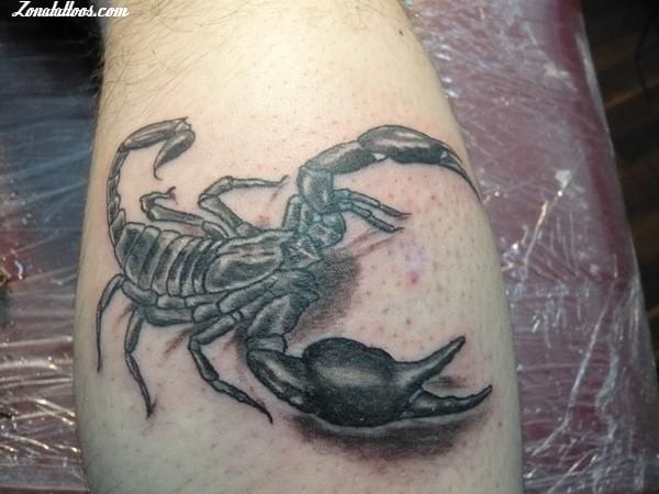 Tattoo photo Scorpions, Insects