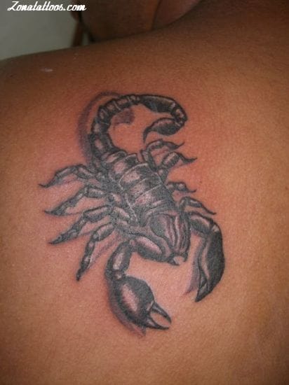 Tattoo photo Scorpions, Insects