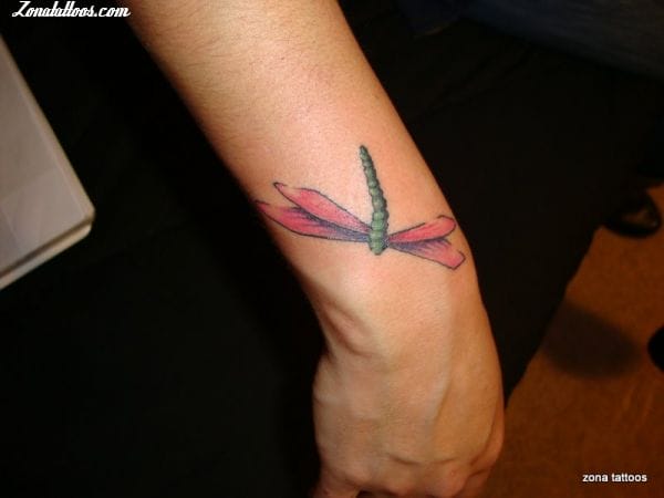 Tattoo photo Dragonflies, Insects