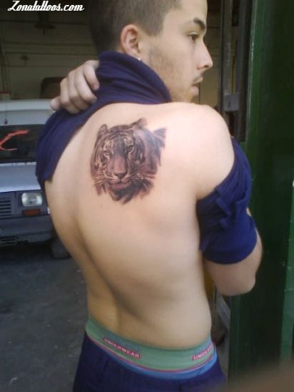 Tattoo photo Tigers, Animals, Shoulder blade