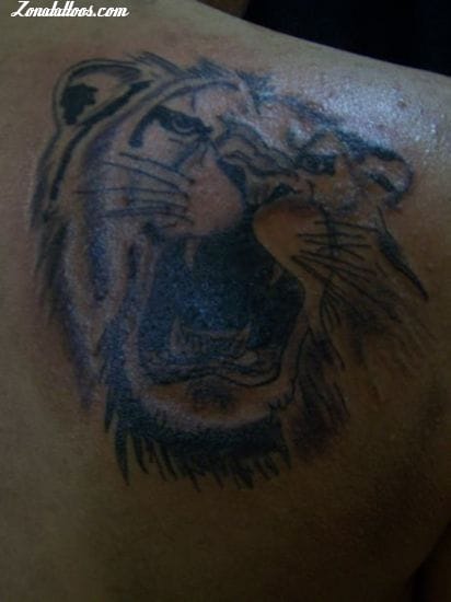 Foto de tatuaje Leones, Animales