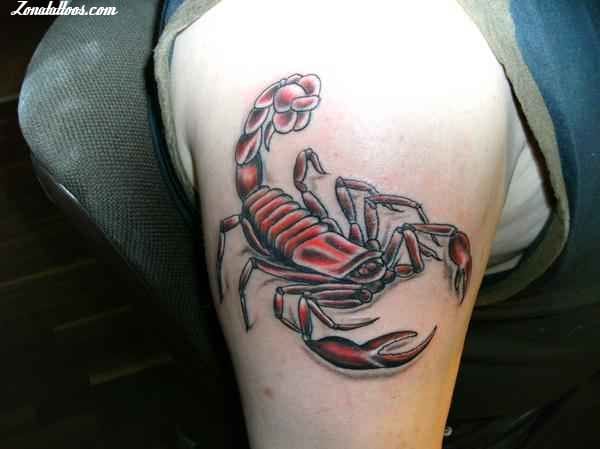 Tattoo photo Scorpions, Insects