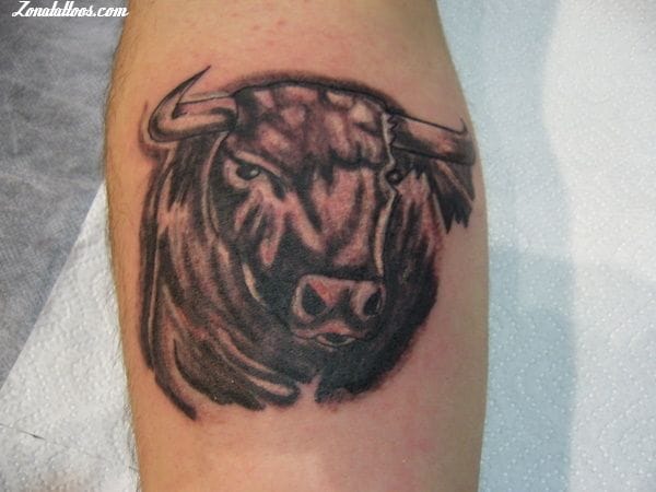 Foto de tatuaje Toros, Animales