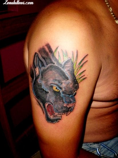 Tattoo photo Panthers, Animals