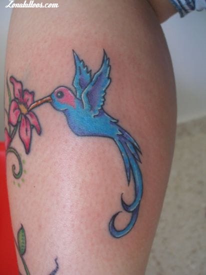 Foto de tatuaje Aves, Colibríes, Animales